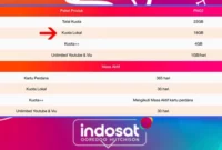 Cara Menggunakan Kuota Lokal Tri di Daerah Lain